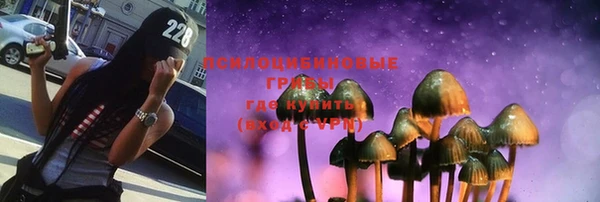 дмт Алзамай
