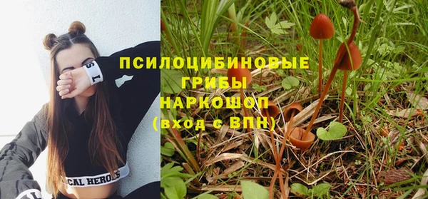 дмт Алзамай