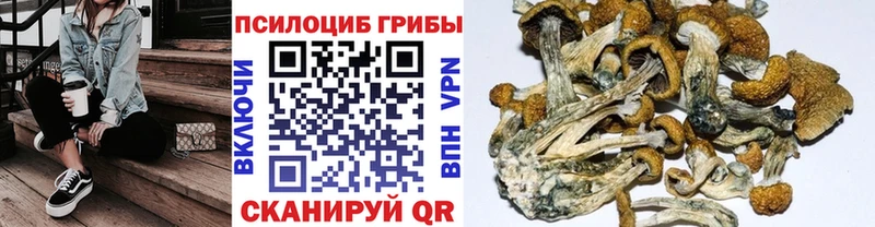 Галлюциногенные грибы ЛСД купить наркотики сайты Бердск